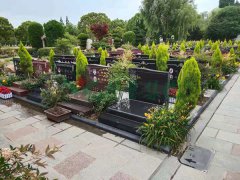 上海滨海古园如意19区