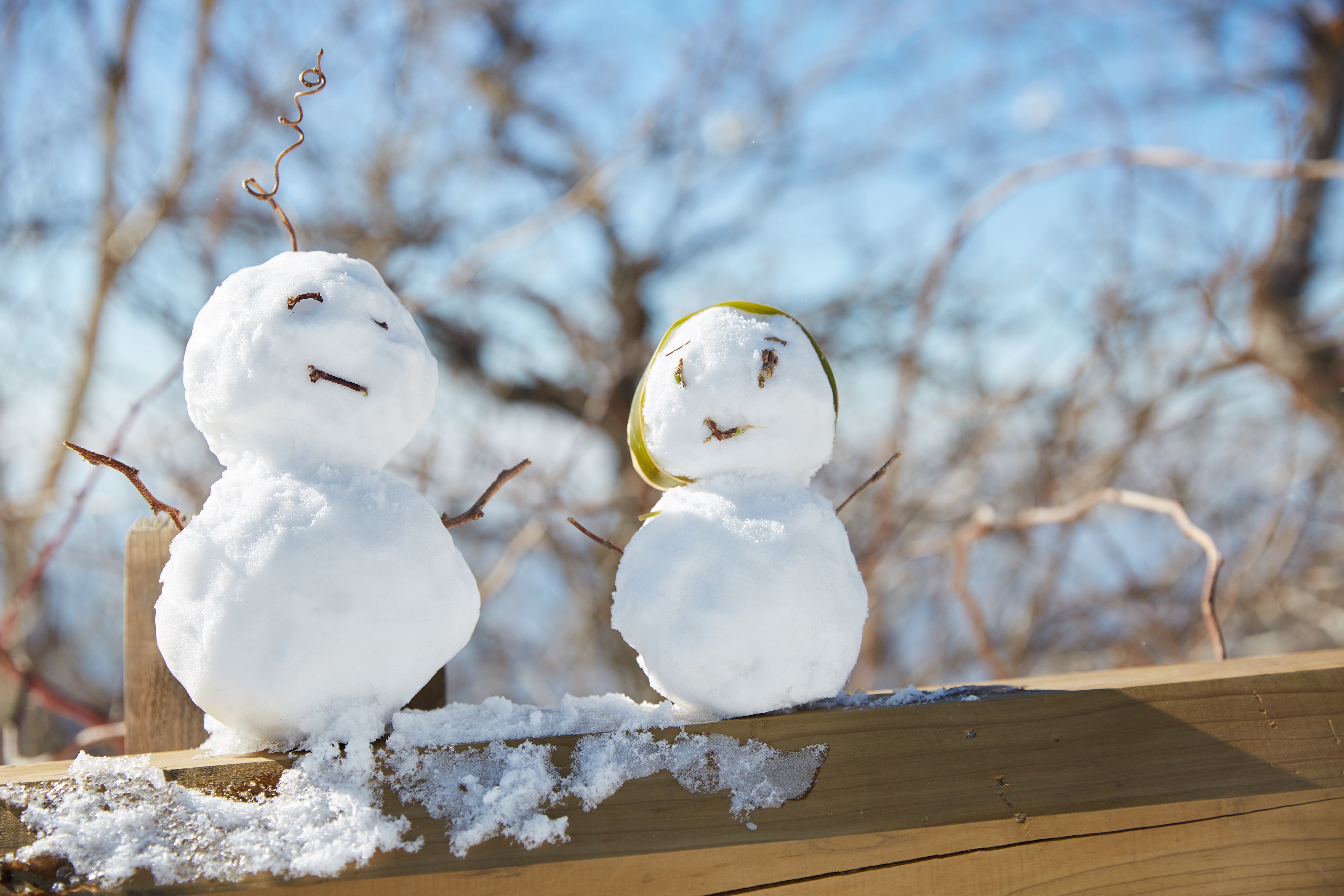 冬至，暖“杨”相伴 | 和记娱乐人全力配合各墓园冬至落葬