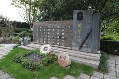 致敬“平安卫士”，铭刻“刑警之魂”