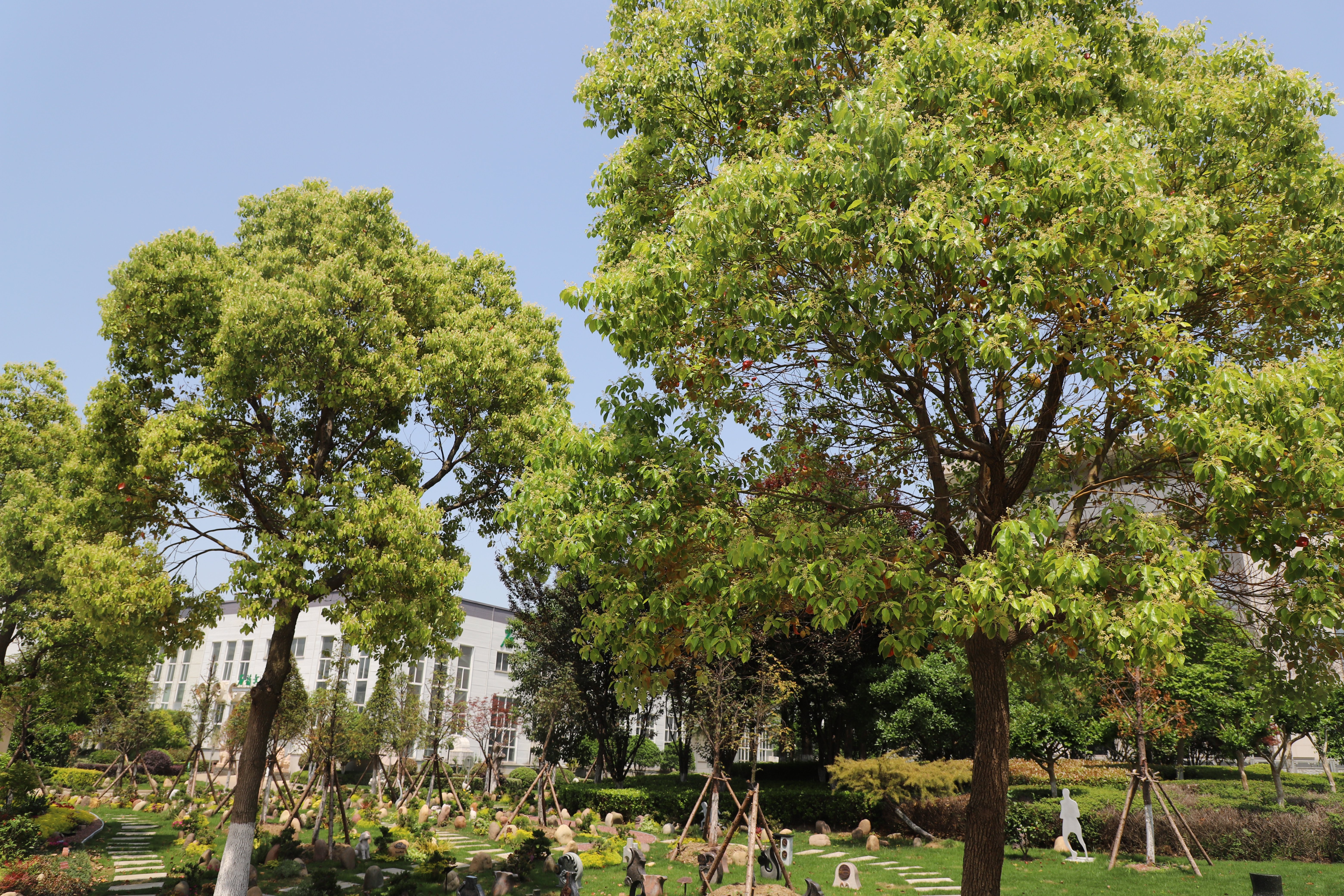 和记娱乐·h88(中国)怡情博娱官网