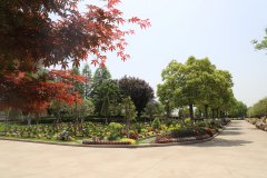 让离别成为另一种生长