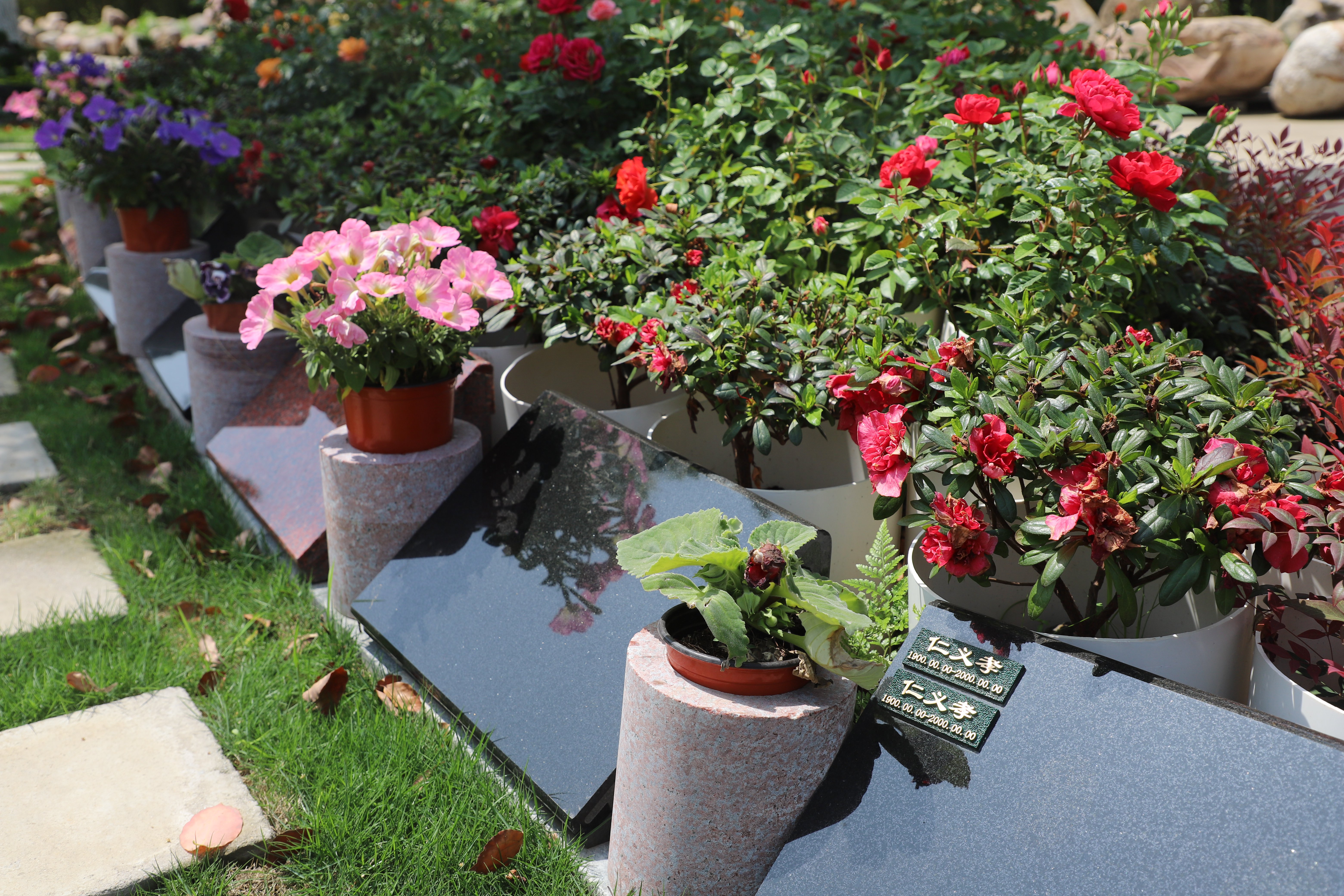 和记娱乐·h88(中国)怡情博娱官网