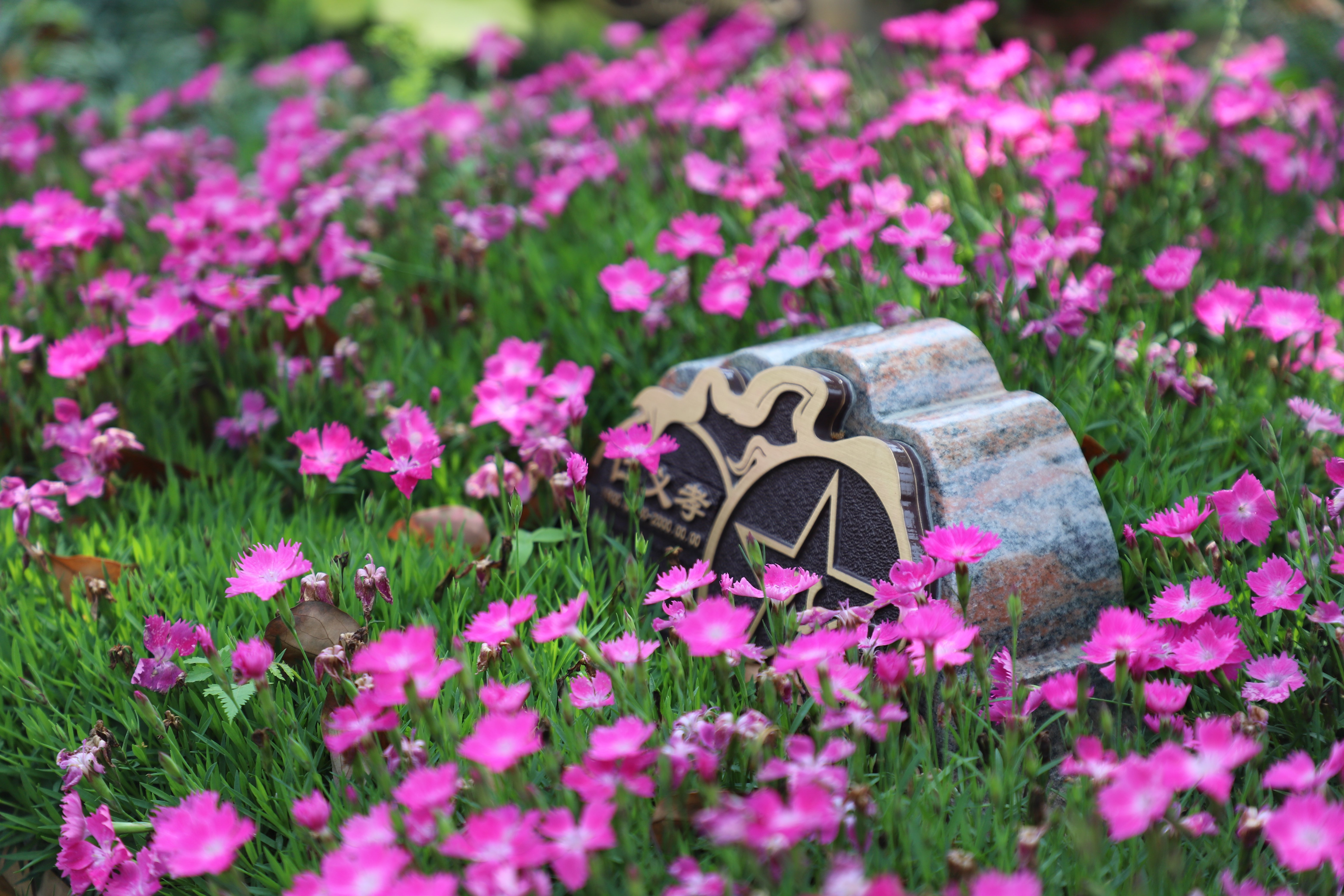 和记娱乐·h88(中国)怡情博娱官网