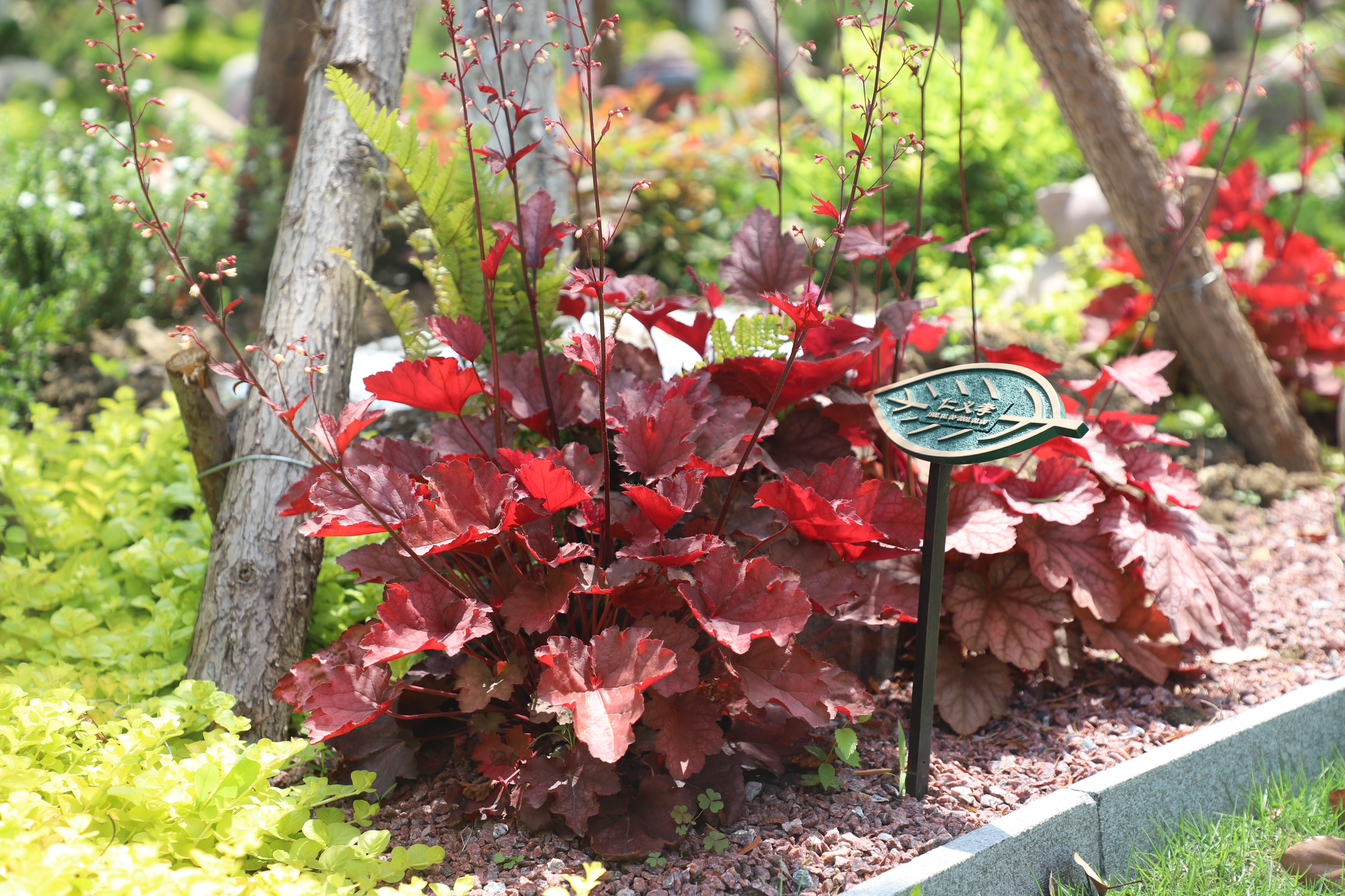 和记娱乐·h88(中国)怡情博娱官网