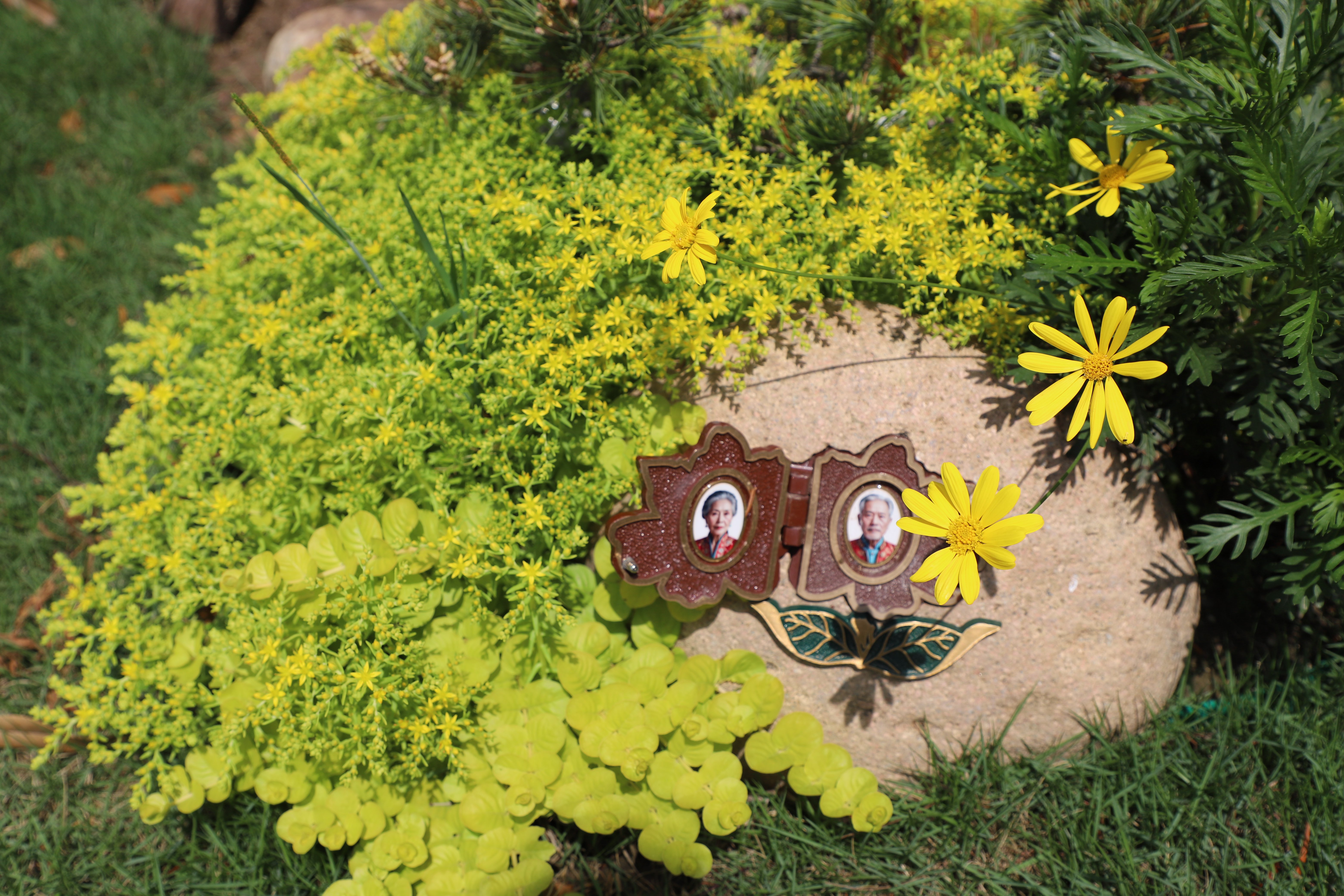 和记娱乐·h88(中国)怡情博娱官网